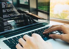 Senior Programmierer buchen